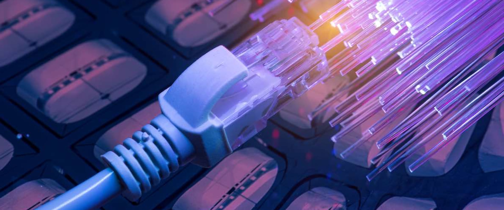 The Convenience of Online Services Offered by Service Centers in Fayette County, GA